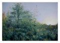 Early Autumn
