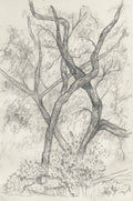 Olentangy Trail - Original Graphite