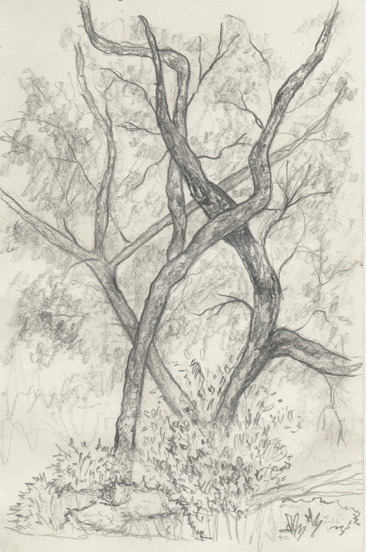 Olentangy Trail - Original Graphite