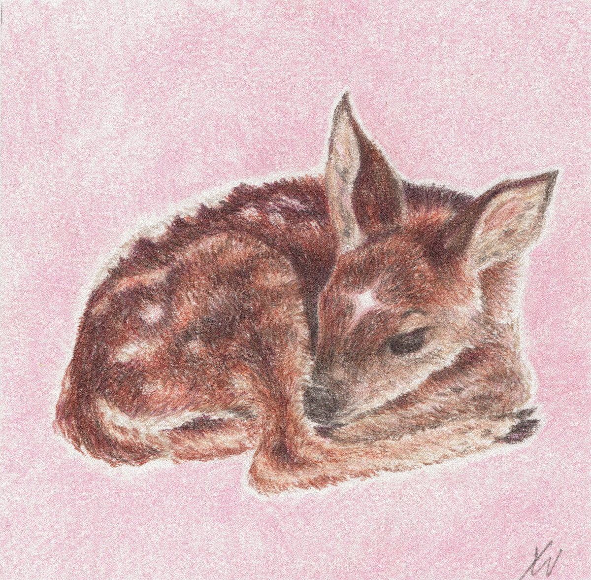 Oh Deer - Original Colored Pencil