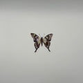 Purple-Spotted Swallowtail Butterfly