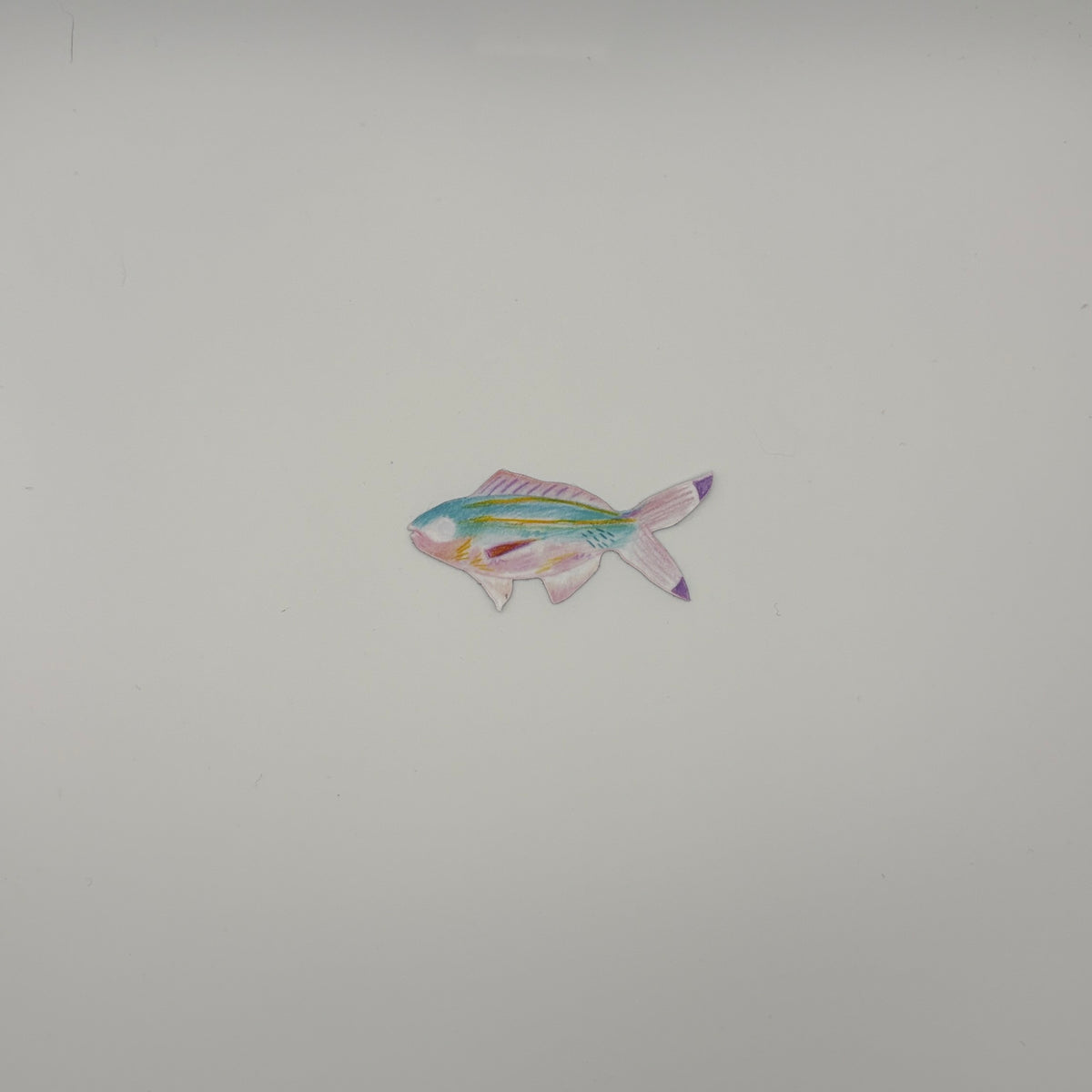 Fish 4