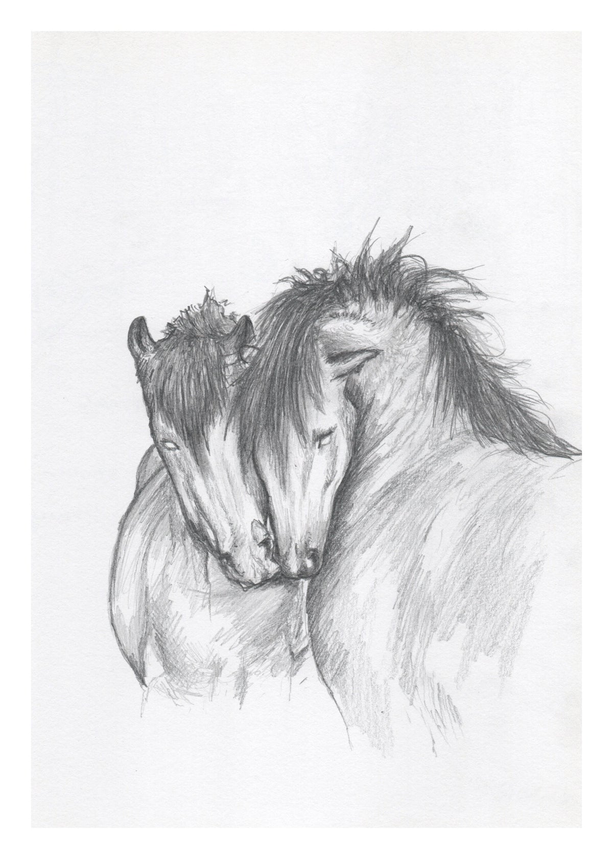 A Pair
