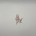 Sea Shell 2