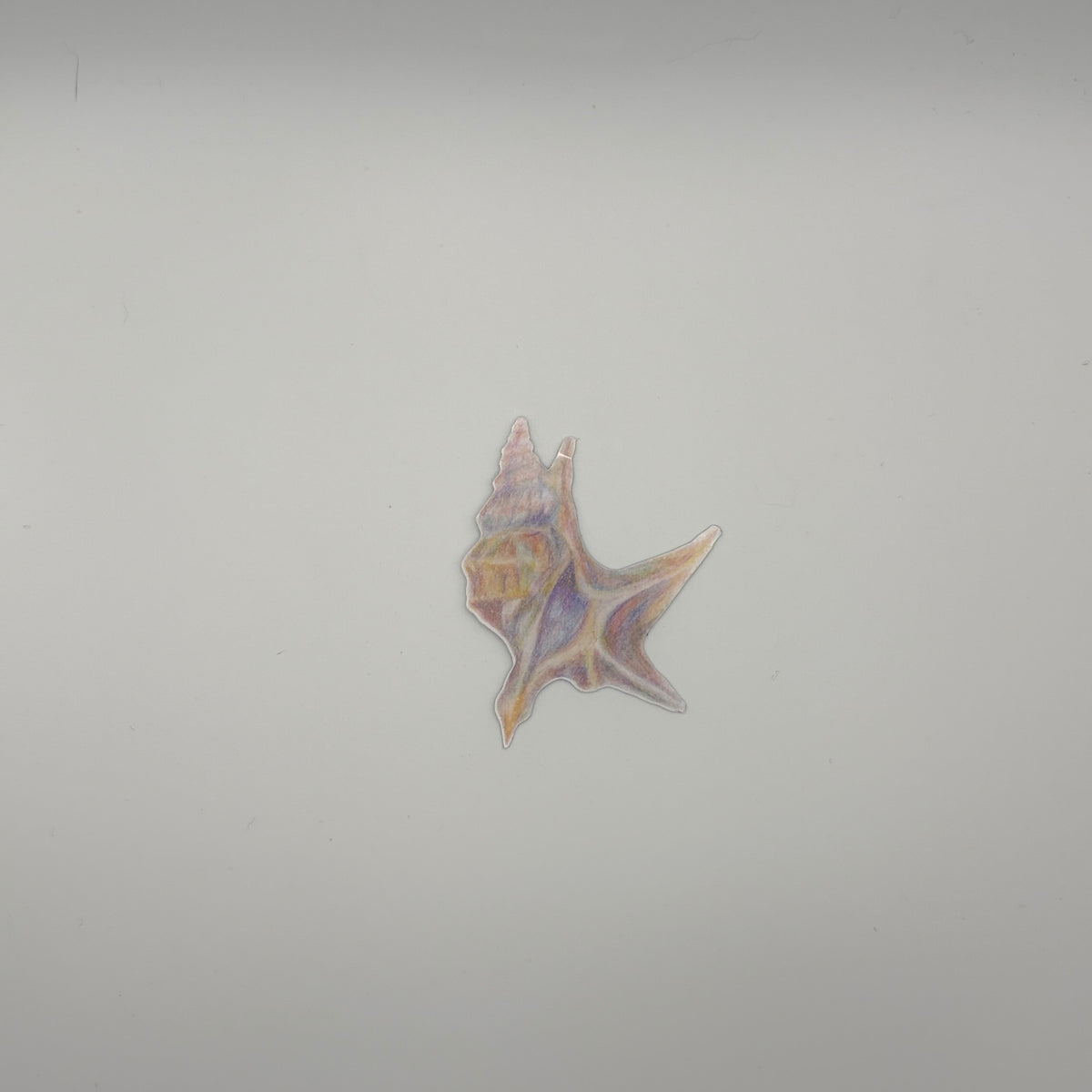 Sea Shell 2