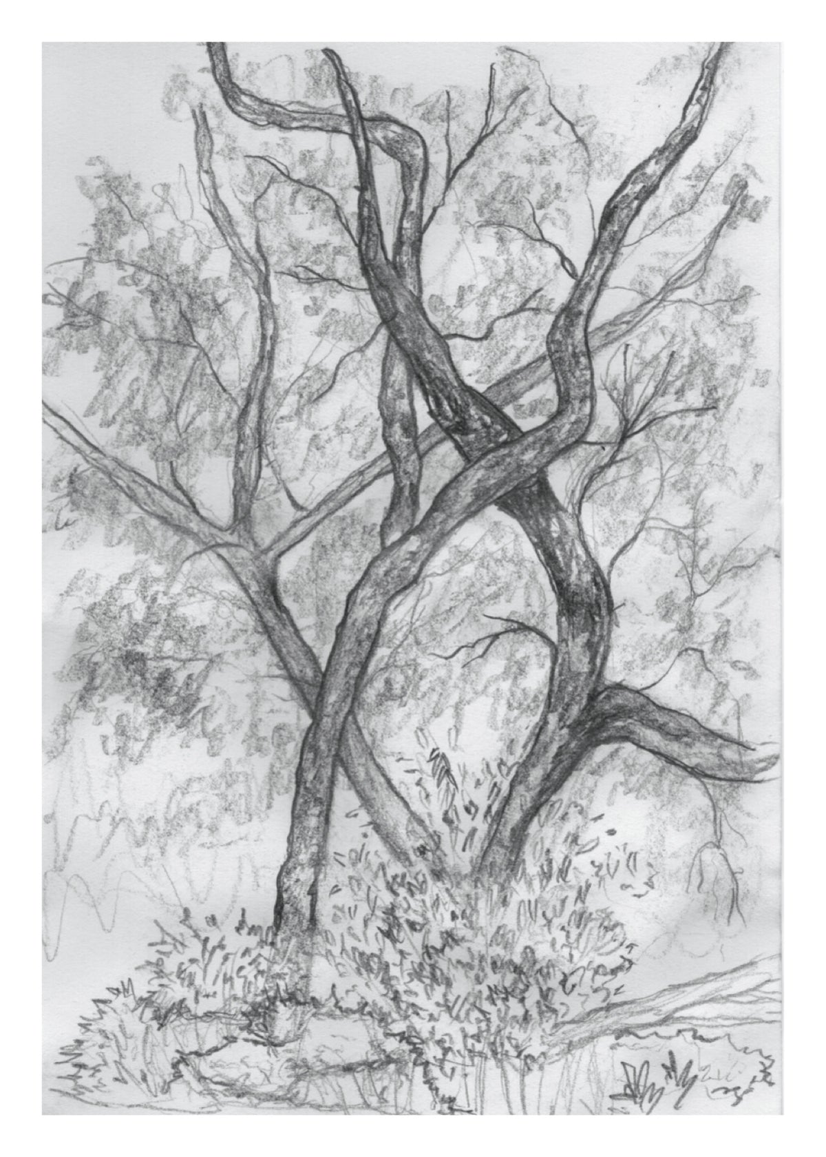 Olentangy Trail Sketch