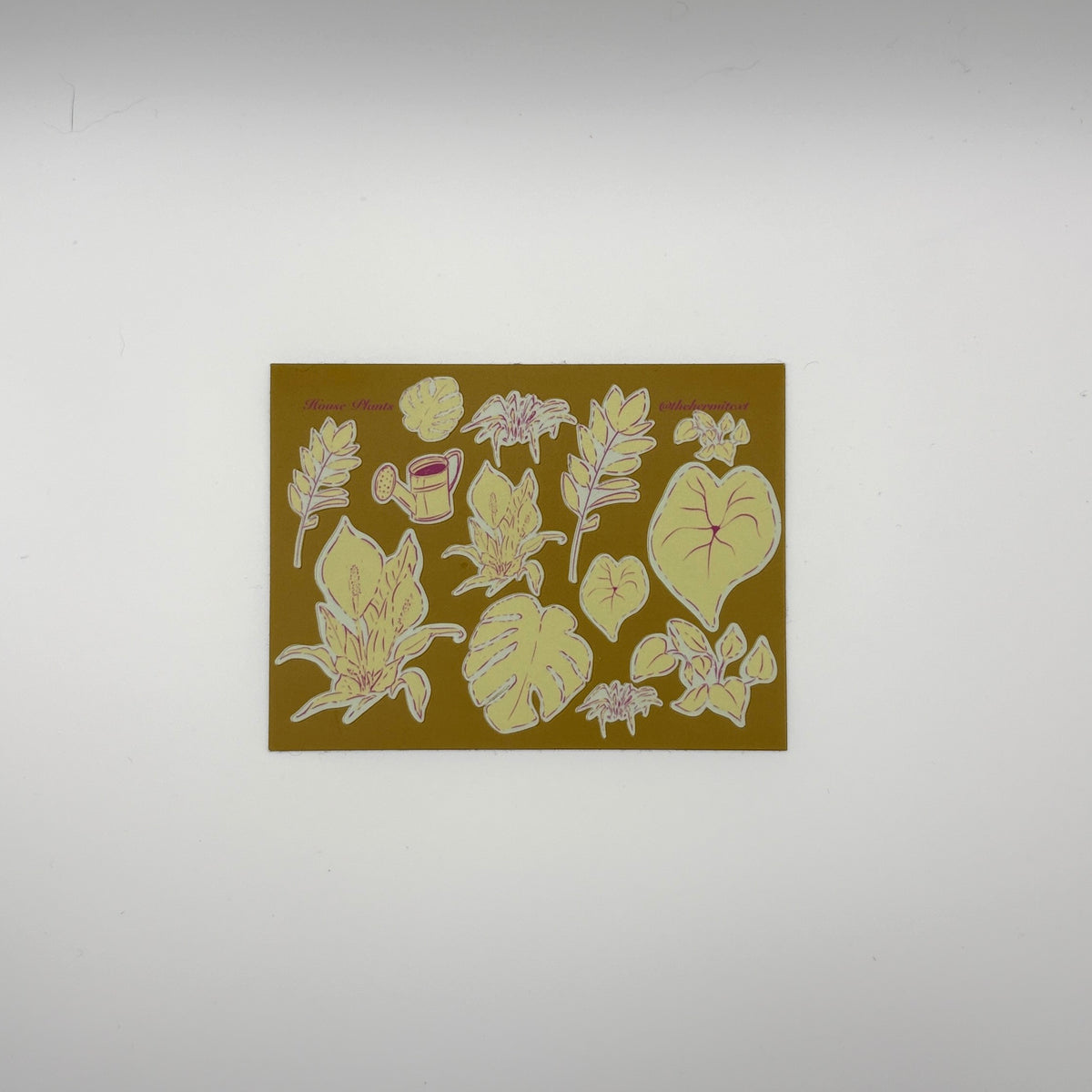 House Plants Sheet