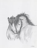 A Pair - Original Graphite